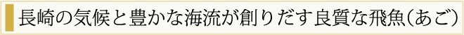 長崎の気候と豊かな海流が生み出す良質な飛魚（あご）